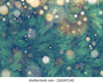 Texture of wall decorated with Christmas tree pine fir branches. EPS 10