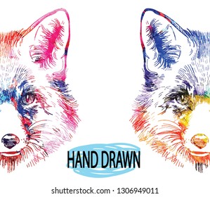 
Texture watercolor paint. Background with foxes. Head of fox, freehand drawing in vintage style.