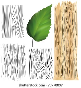 texture of wood