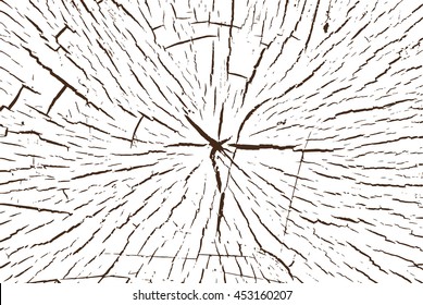 Texture of the wood cross-cut, core tree cutting, wood vector texture monochrome