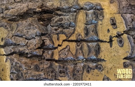 La textura es de madera. Antecedentes abstractos. El fenómeno natural.