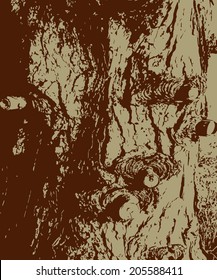 Texture of wooden bark in vector format. Abstract background. 