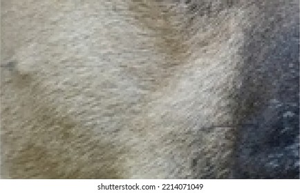 texture wooden surface background board wood natural plywood