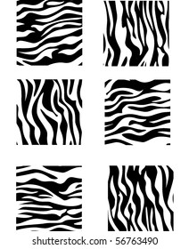 texture of zebra skin