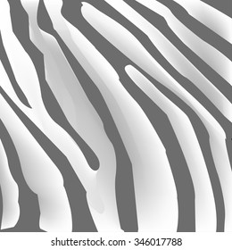 Texture of zebra skin, black and white stripes background
