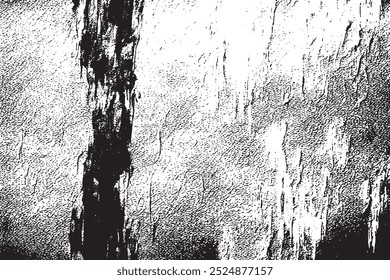  Textured Black and White Wall with Brushstrokes             