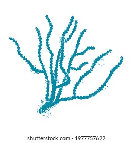 Textured blue sea corals isolated on a white background. Marine flora. Vector shabby hand drawn illustration