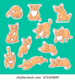 Textured color vector set of illustration sticker of cute emotional ginger kitten. The face of the cat reflects different emotions fear, anger, and love. Pussycat is sleeping, drinking from bowls