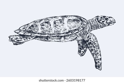 Textured hand drawn sea turtle floating, side view, vector background, paper, wallpaper, fabric