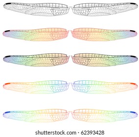 Insect wing Images, Stock Photos & Vectors | Shutterstock