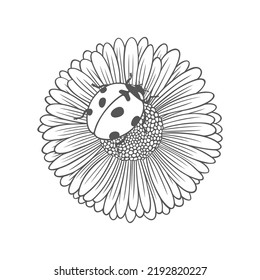 Textured outline daisy flower with ladybug. Nature vector illustration on white background