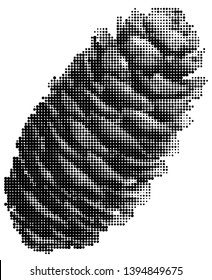 Textured pine cone. Halftone pine cone. Pine cone on white