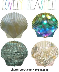 Textured seashells and colorful font.