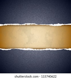 Textured torn paper