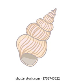 Textured vector illustration of an isolated peach seashell.