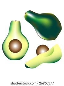 Textured vector illustration of a whole avocado with pit, slice, and wedge