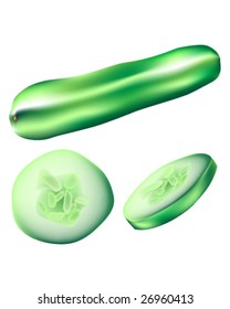 Textured vector illustration of a whole cucumber, slice, and wedge