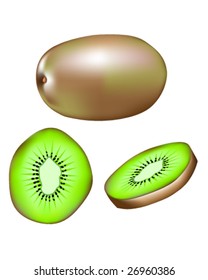 Textured vector illustration of a whole kiwi fruit, slice, and wedge