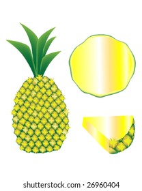 Textured vector illustration of a whole pineapple, slice, and wedge