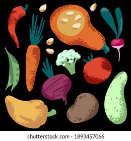 Textured vegetable vector illustration on black background. Radish, beet root, cucumber, tomato, squash, pepper and cauliflower textured raster drawing. Healthy food stickers. Summer salad ingredient