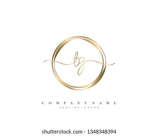 TG initial handwriting logo template vector