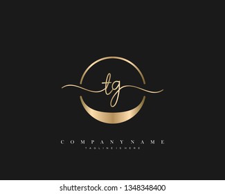 TG initial handwriting logo template vector