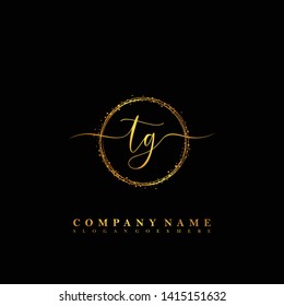TG Initial luxury handwriting logo vector
