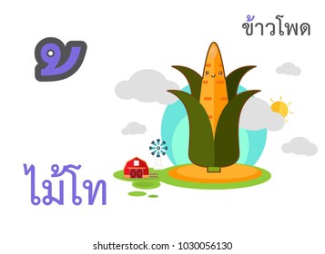 Thai alphabet mai tro and thai word spelling krow phod or corn with  Corn. Cute vegetable on white background