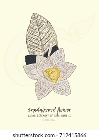 Thai Artificial Funeral Daffodil Flower or Dok mai chan.
sandalwood flower-laying ceremony  for mourn to king of thailand pass away . hand draw sketch  sandalwood flower for king .