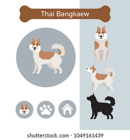 Thai Bangkaew Dog Breed Infographic, 
Illustration, Front and Side View, Icon