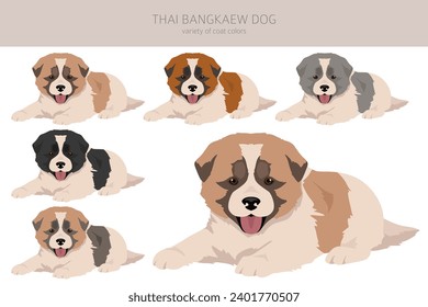 Cícalo de cachorros de perro bangladesí tailandés. Todos los colores del abrigo.  Todas las razas de perros tienen características infográficas. Ilustración del vector