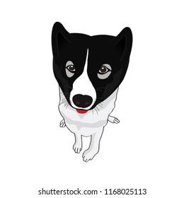 Thai Bangkaew dog vector illustration of funny cartoon dog. Isolated on white.