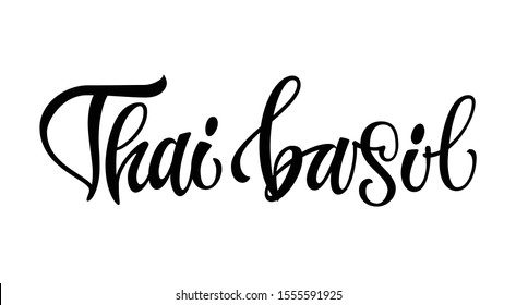 Thai basil - hand drawn spice text. Isolated calligraphy script style words. Labels, stikers, packages design. Vector lettering design element.