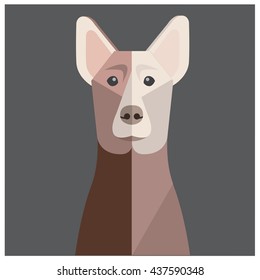 Thai Brown Ridge-back Dog 1