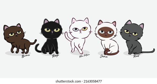 El gato de caricatura tailandés ambientado con un diseño simple. Esta colección de cinco razas de gatos, los gatos más hermosos de Tailandia. Ilustración vectorial en el fondo. Diseño de estilo para tarjetas, carteles, todo prin