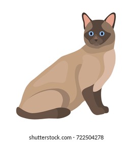 Thai cat