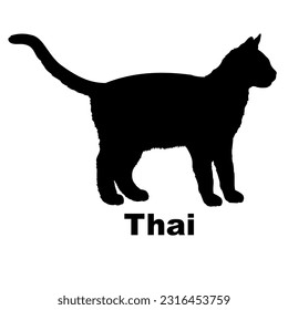 Thai cat silhouette. Cat breeds vector. Pet. Animal