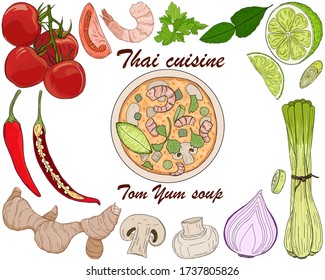 Thai cuisine background. Vector illustration of colorful hand drawn tom yum soup ingredients isolated on white background