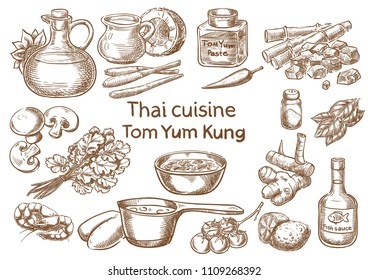 Thai cuisine. Tom yum kung  ingredients vector sketch.