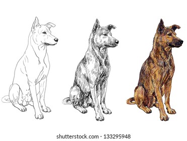 犬 イラスト おしゃれ のイラスト素材 画像 ベクター画像 Shutterstock