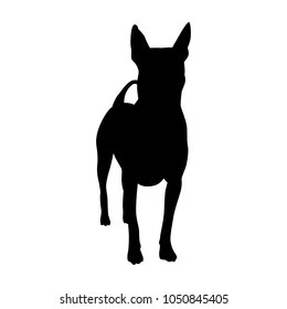 Thai dog silhouette vector