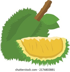 thai durian lover, the king of fruit with unique tase and smell that you need to try once in a lifetime