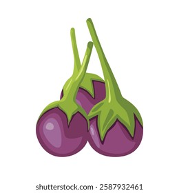 Thai Eggplant isolated on white background.