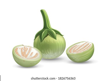 Thai Eggplant vector, and eggplant cut half realistic design, isolated on white background, Eps 10 vector