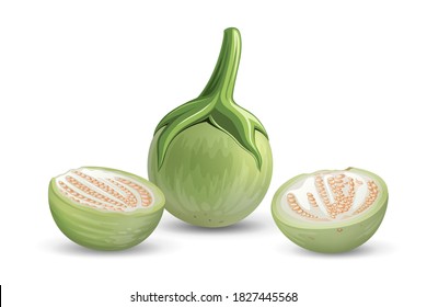Thai Eggplant vector green fresh, and cut half realistic design, isolated on white background, Eps 10 vector