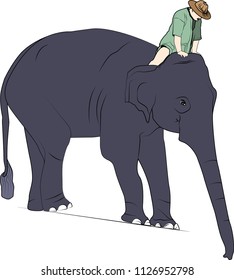 Thai elephant in cartoon version on white background