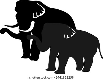 Thai elephant, male and female elephant, illustration, isolated, black and white