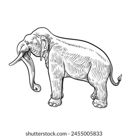 Thai-Elefant-Statue-Strichzeichnung, Vektorillustration, Vektorillustration