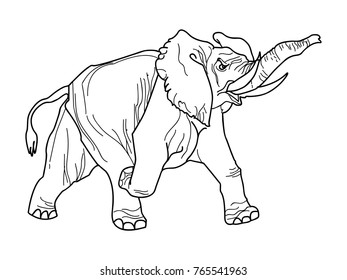 Thai elephant.Hand drawn Vector illustration.