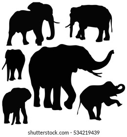 2 Elephant vector divide up Images, Stock Photos & Vectors | Shutterstock